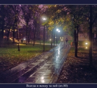 365- дор.jpg